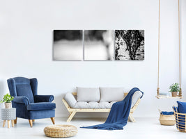 panoramic-3-piece-canvas-print-birch-trunk