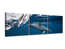 panoramic-3-piece-canvas-print-bottlenose-dolphin-turciops-aduncus