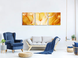 panoramic-3-piece-canvas-print-close-up-dandelion-in-light