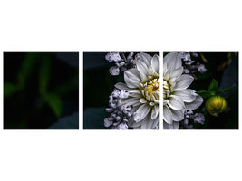 panoramic-3-piece-canvas-print-dahlia-flower