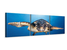 panoramic-3-piece-canvas-print-face-to-face-with-a-hawksbill-sea-turtle