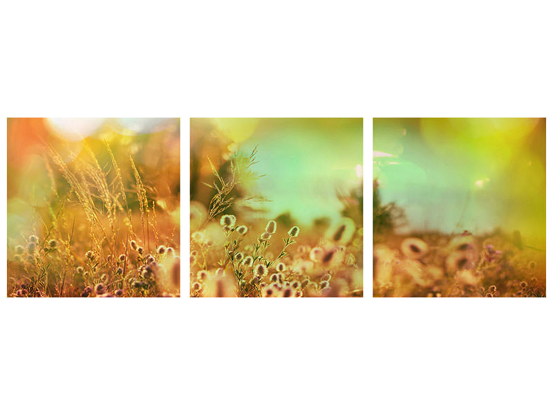 panoramic-3-piece-canvas-print-flower-meadow-at-twilight