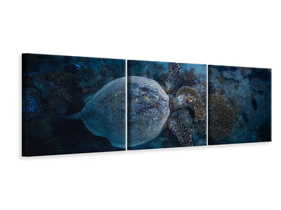 panoramic-3-piece-canvas-print-hawksbill-sea-turtle-ii