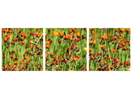 panoramic-3-piece-canvas-print-hawkweeds