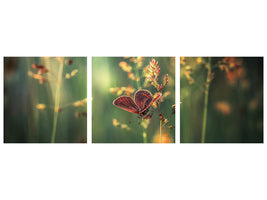 panoramic-3-piece-canvas-print-last-light