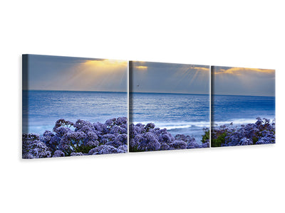 panoramic-3-piece-canvas-print-lavender-and-sea