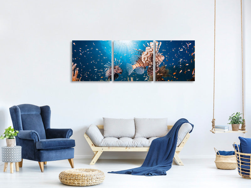 panoramic-3-piece-canvas-print-lionfish-ii