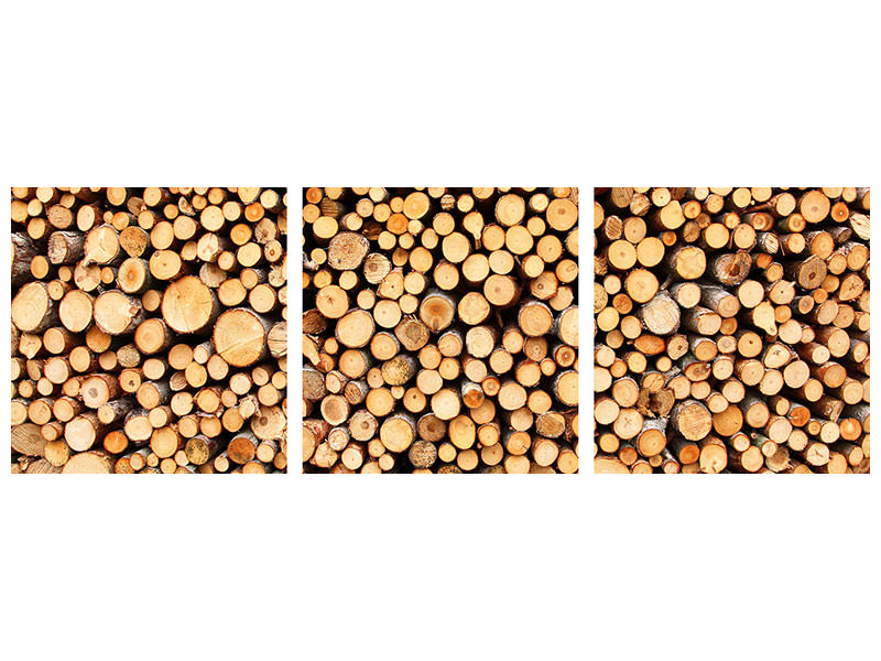 panoramic-3-piece-canvas-print-logs