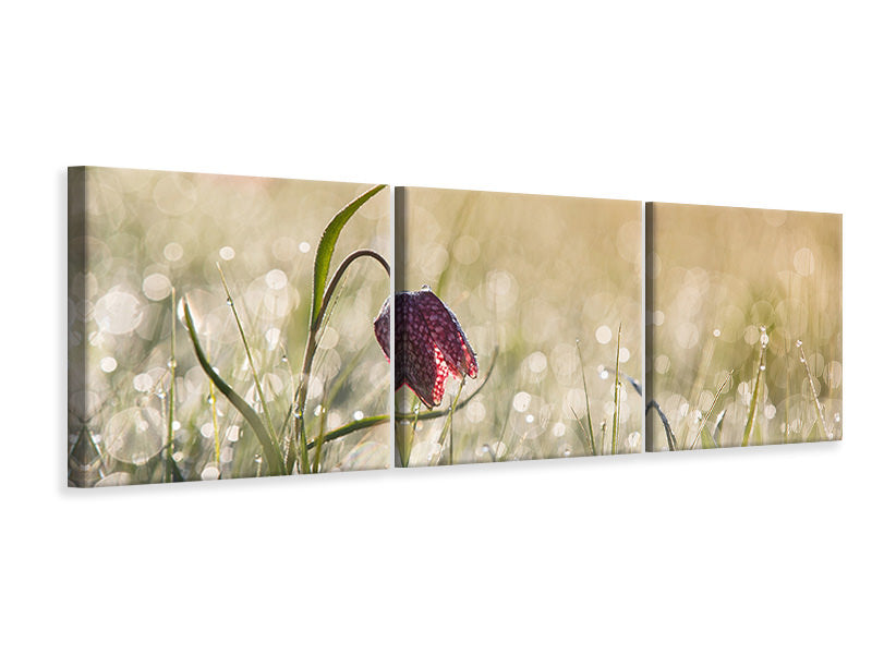 panoramic-3-piece-canvas-print-morningdew