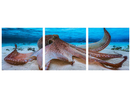 panoramic-3-piece-canvas-print-octopus