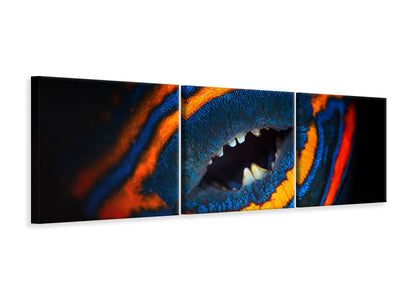 panoramic-3-piece-canvas-print-orange-lined-triggerfish