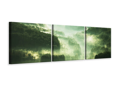 panoramic-3-piece-canvas-print-over-the-woods