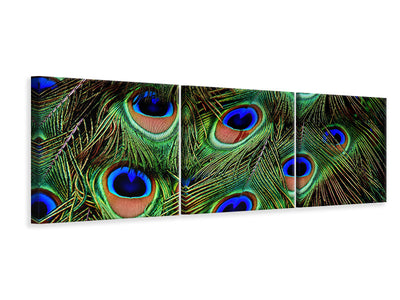 panoramic-3-piece-canvas-print-peacock-feathers-xxl