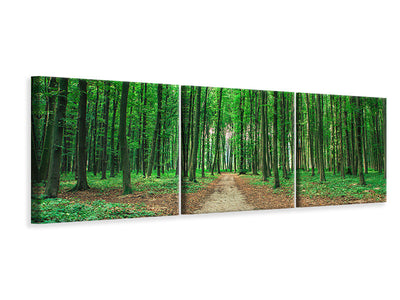 panoramic-3-piece-canvas-print-pine-forests