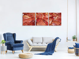 panoramic-3-piece-canvas-print-raw-ham