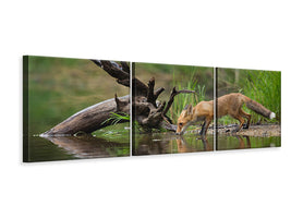 panoramic-3-piece-canvas-print-red-fox-ii