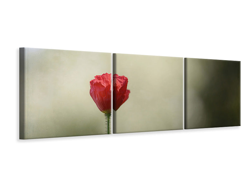 panoramic-3-piece-canvas-print-red-poppy