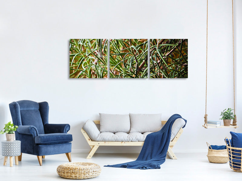 panoramic-3-piece-canvas-print-rosemary-xxl