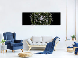 panoramic-3-piece-canvas-print-stenocactus