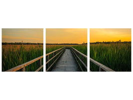 panoramic-3-piece-canvas-print-sunset-in-the-fields