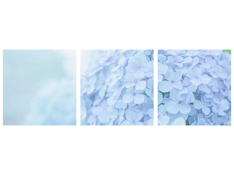 panoramic-3-piece-canvas-print-the-hydrangea