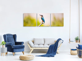 panoramic-3-piece-canvas-print-the-kingfisher