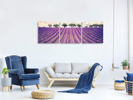 panoramic-3-piece-canvas-print-the-lavender-field-ii