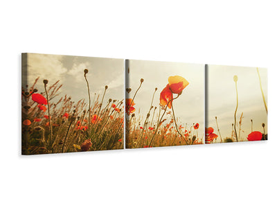 panoramic-3-piece-canvas-print-the-poppy-field-at-sunrise