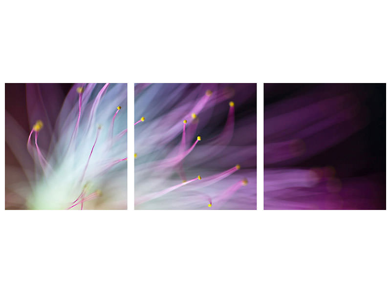 panoramic-3-piece-canvas-print-the-will-o-the-wisp