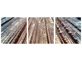 panoramic-3-piece-canvas-print-trees-in-the-snow