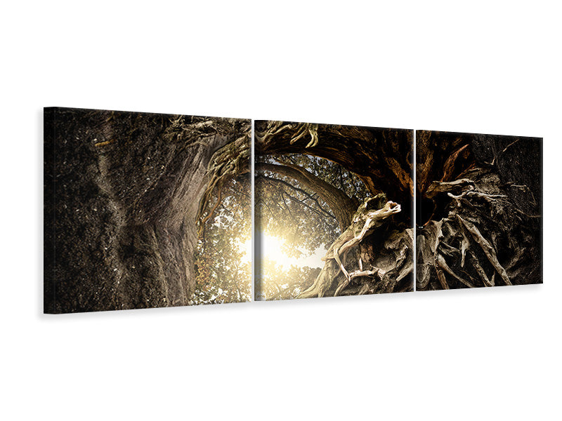 panoramic-3-piece-canvas-print-under-the-trees