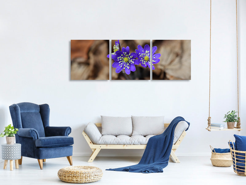 panoramic-3-piece-canvas-print-wildflowers