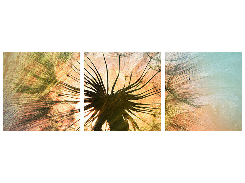 panoramic-3-piece-canvas-print-xxl-dandelion