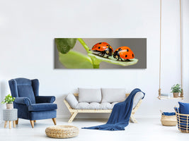 panoramic-canvas-print-2-ladybirds