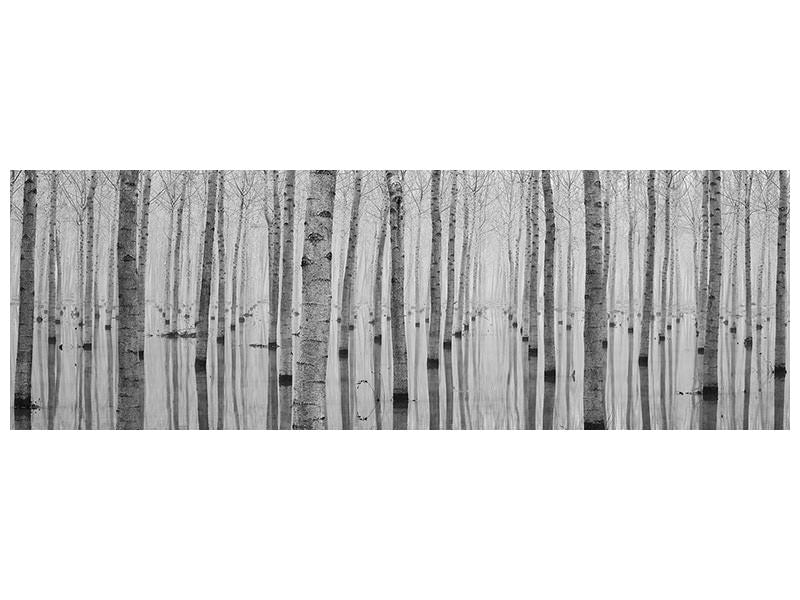 panoramic-canvas-print-2014-novembre