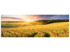 panoramic-canvas-print-a-flower-field-at-sunrise