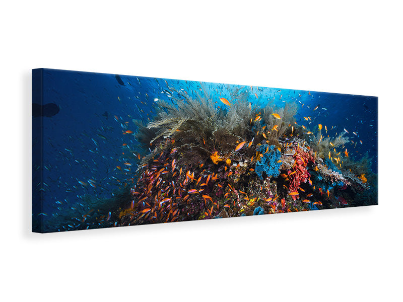 panoramic-canvas-print-apnea