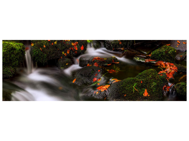 panoramic-canvas-print-autumn-melodies