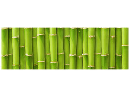 panoramic-canvas-print-bamboo-wall