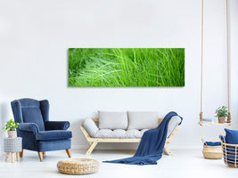 panoramic-canvas-print-blades-of-grass