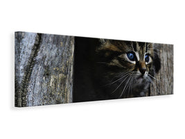 panoramic-canvas-print-cats-child