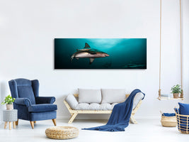 panoramic-canvas-print-circling