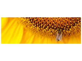 panoramic-canvas-print-close-up-yellow-bud