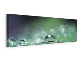 panoramic-canvas-print-drops-of-water-in-xxl