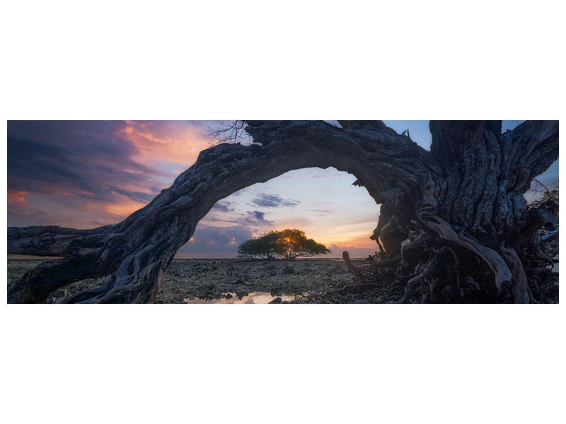 panoramic-canvas-print-dry