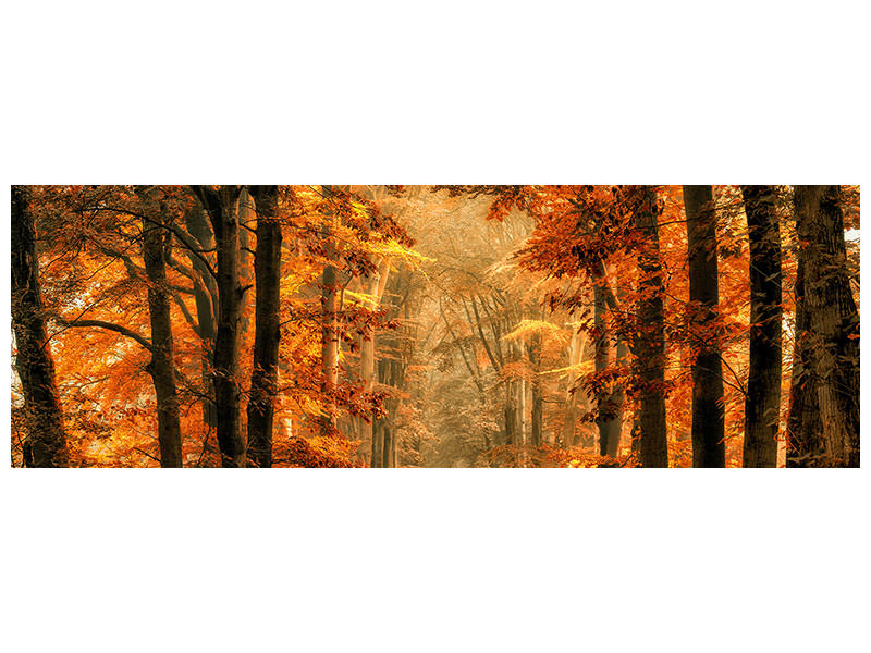 panoramic-canvas-print-exit-the-portal