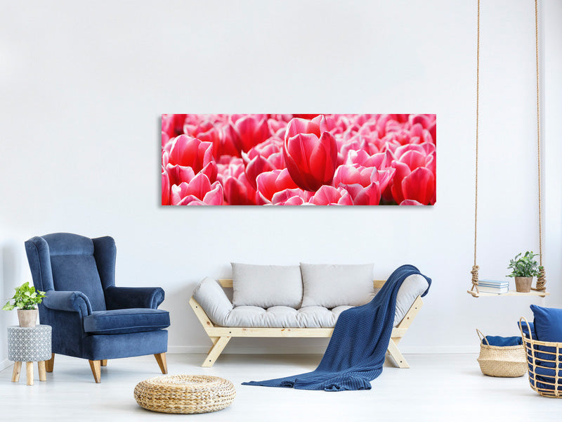 panoramic-canvas-print-happy-tulip-field