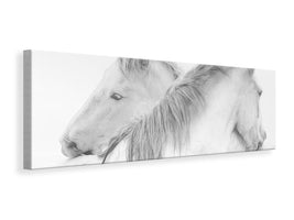 panoramic-canvas-print-horses