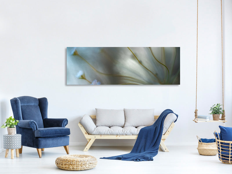 panoramic-canvas-print-jasmine