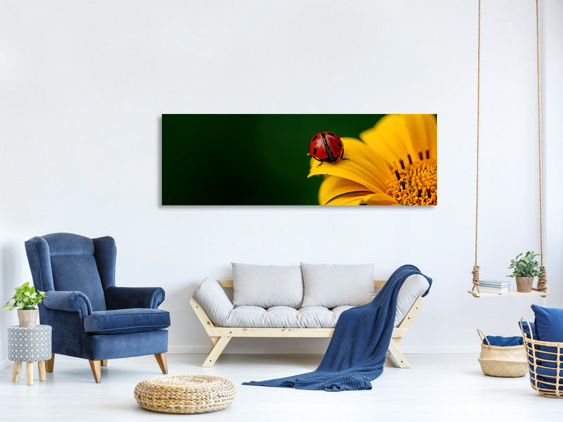 panoramic-canvas-print-ladybug-on-the-sunflower